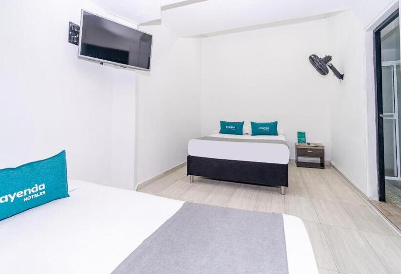 4인용 스탠다드 룸, Tree House Medellin