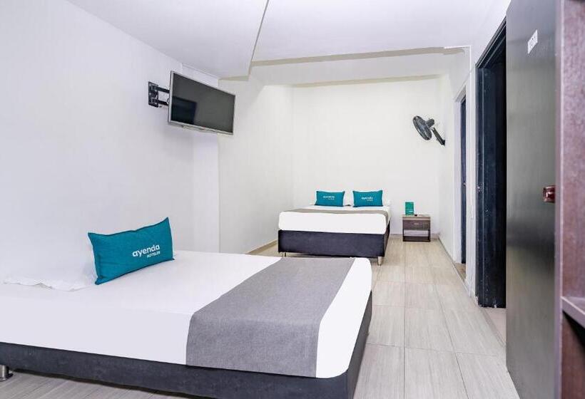 스탠다드 룸, Tree House Medellin