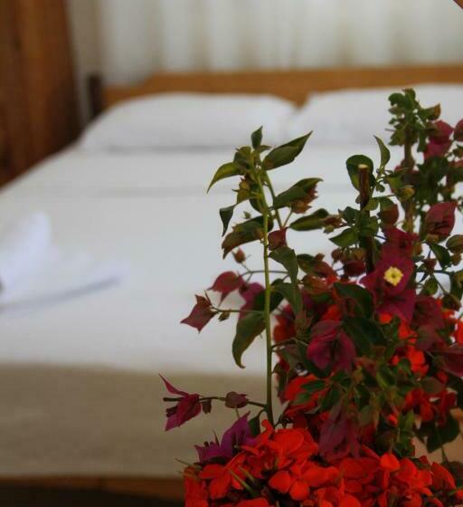 스탠다드 룸, Jet Pension