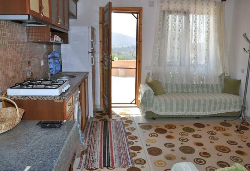 침실 1개 아파트, Jet Pension