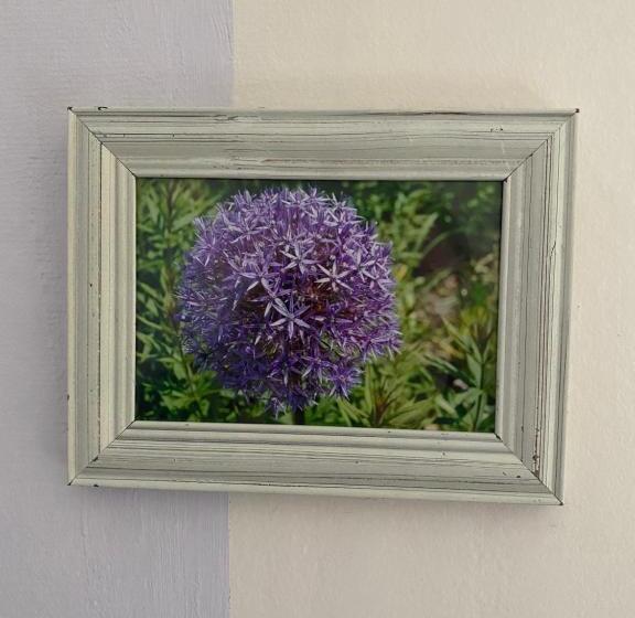 غرفة عائلية حمام مشترك, Villa Karllösa Bed And Breakfast