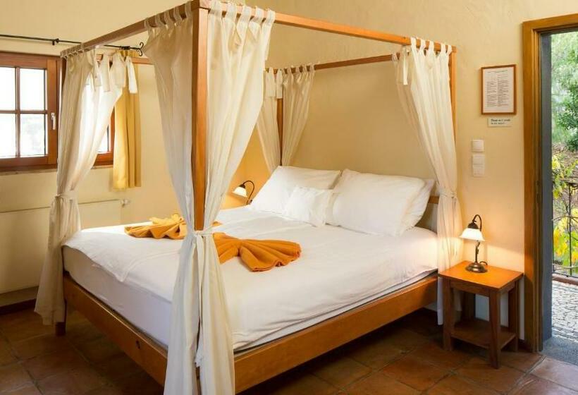 חדר סופריור, Atrio