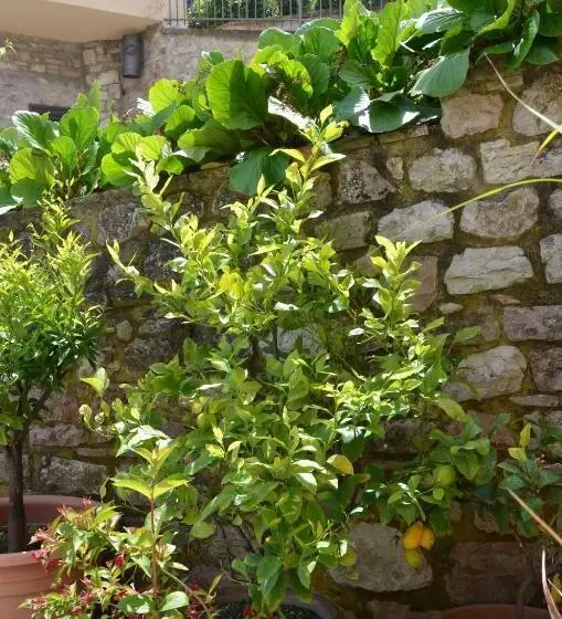 Huoneisto 2 Makuuhuonetta, B&b La Terrazza Del Subasio