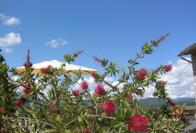 شقة غرفة واحدة, B&b La Terrazza Del Subasio