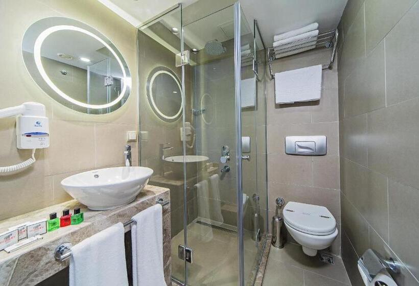 اتاق استاندارد, History