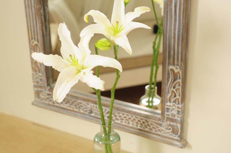 스탠다드 스튜디오, Mythos Suites Boutique