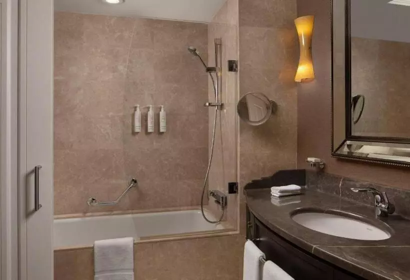 シティビューのデラックスルーム, Istanbul Marriott Pendik
