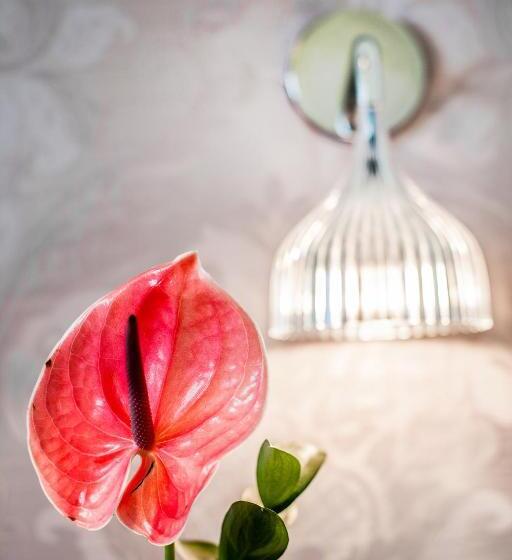 חדר סופריור נוף לים, Doge