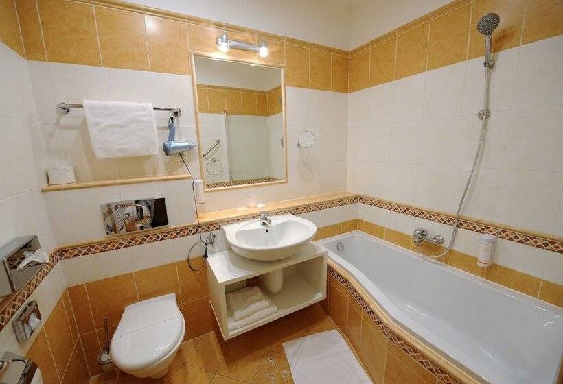 غرفة قياسية فردية, Prince De Ligne