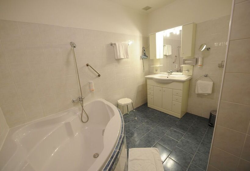 غرفة ديلوكس, Prince De Ligne