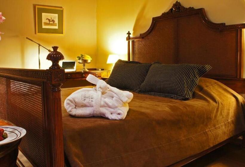 سوییت جونیور, Aegli Arachova