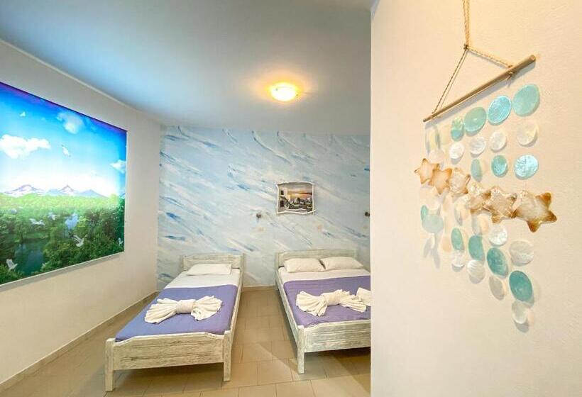 Estudio Superior, Villa Dima