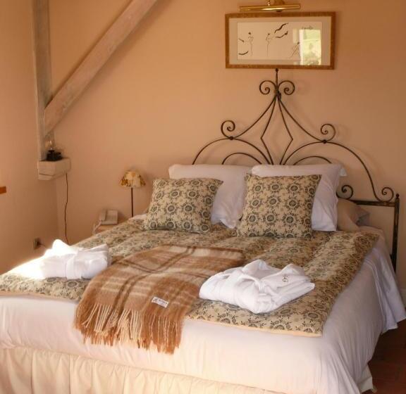 Номер Стандарт с Террасой, Hôtel étoiles D Orion