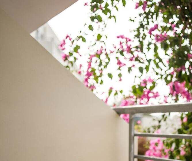 エコノミールーム, Azul Eco