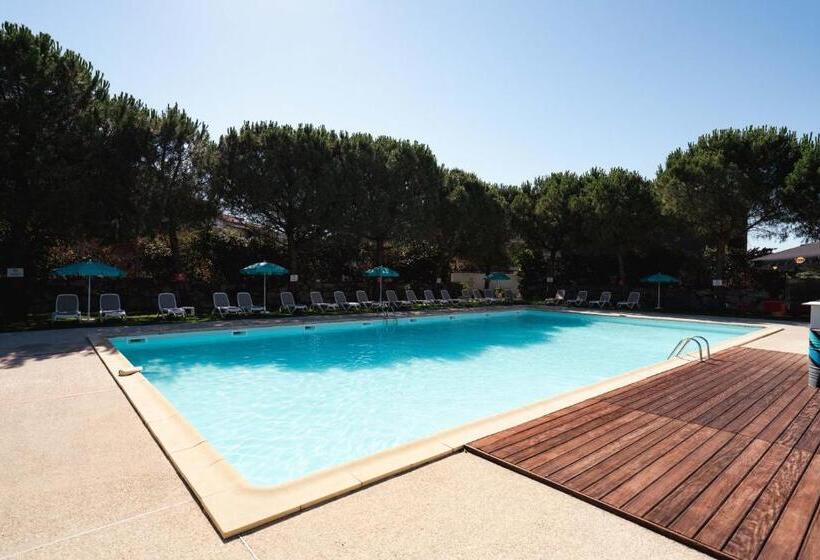 اتاق خانوادگی, Sporting House