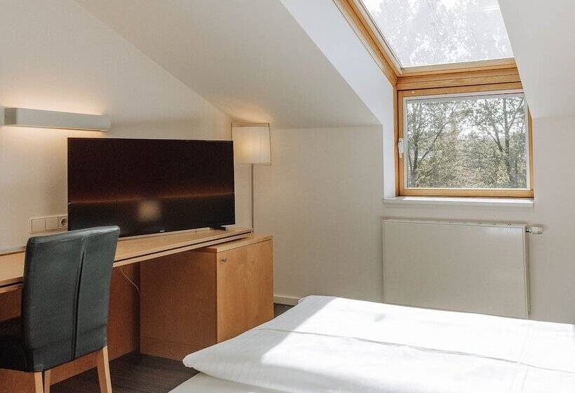 اتاق استاندارد, Heinhotel Vienna Airport