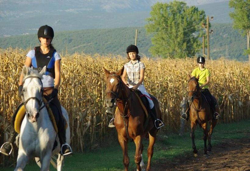 Háromágyas Standard Szoba, Sv. Mihovil