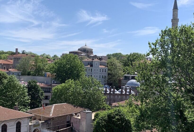 Quarto Estandar, Anadolu