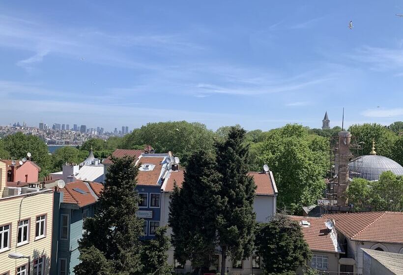 Quarto Estandar, Anadolu