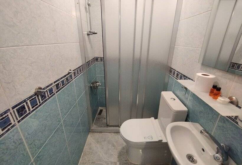 חדר סטנדרט יחיד, Anadolu