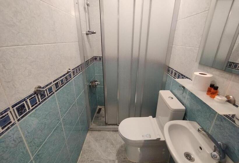 Quarto Estandar Individual, Anadolu