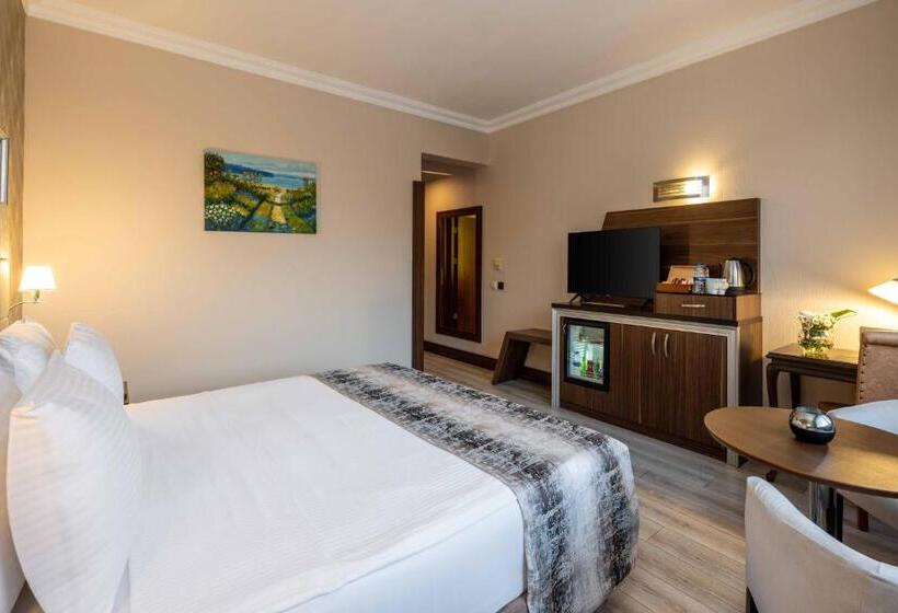 Standard Single Room, Elite Hotel Dragos