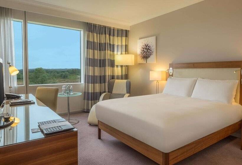 Полулюкс, Hilton Reading