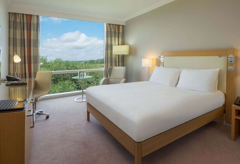 Семейный Номер, Hilton Reading