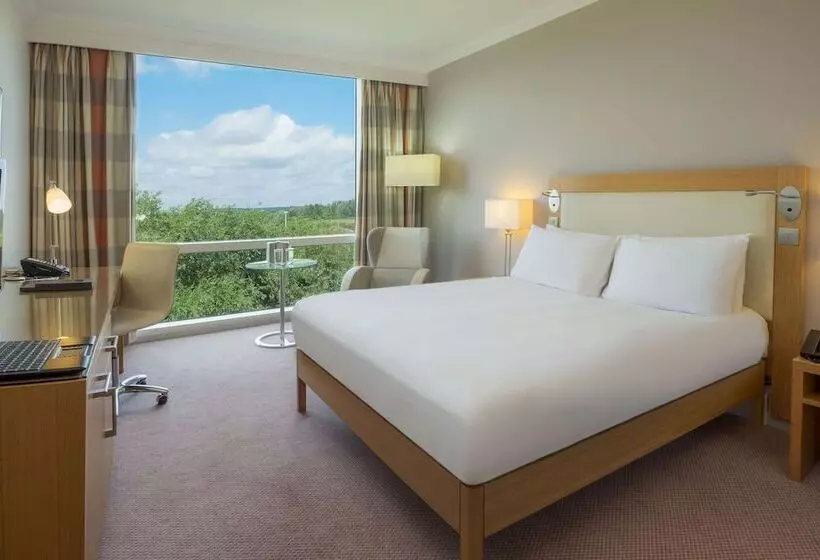 ファミリールーム, Hilton Reading