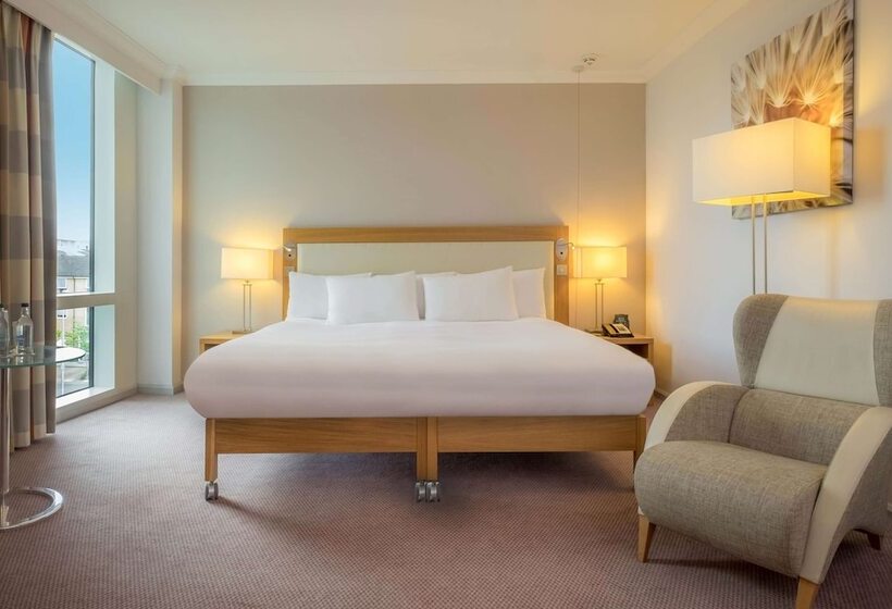 Номер Deluxe, Hilton Reading