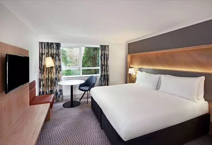 キングサイズベッドのスタンダードルーム, Hilton Reading