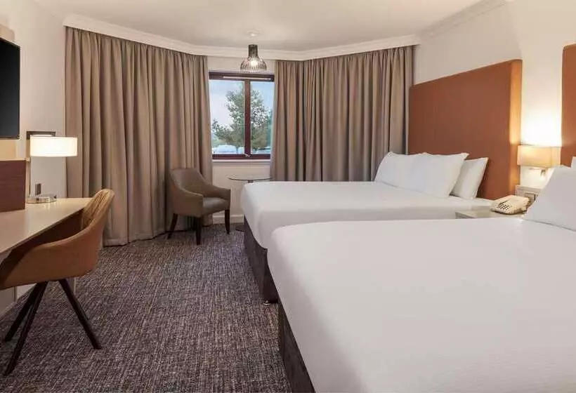 身障者適用スタンダードルーム, Hilton Reading