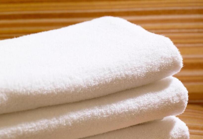 غرفة ديلوكس, The B Ikebukuro