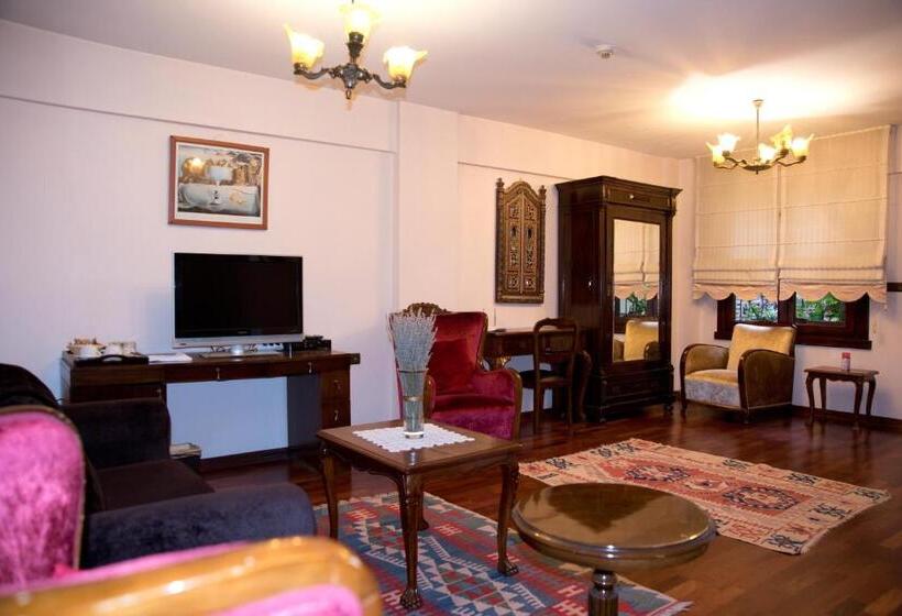 Standard Studio King Bed, Villa Sphendone Suites Istanbul