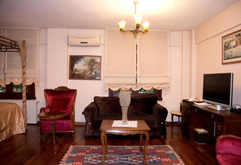 キングサイドベッドのスタンダードワンルーム, Villa Sphendone Suites Istanbul