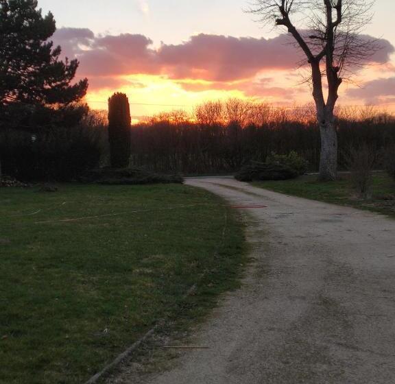 패밀리 스위트, La Belle Etoile