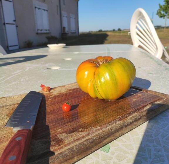 패밀리 스위트, La Belle Etoile