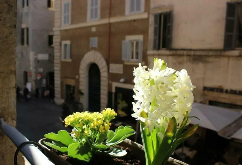 اتاق لوکس سه تخته, Hub Navona