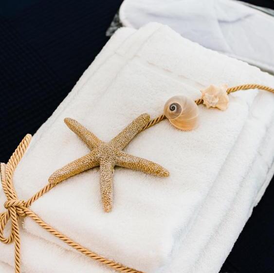 شقة غرفة واحدة, Dimora Cavour