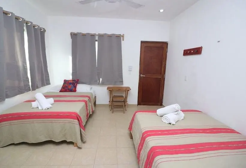 اتاق استاندارد, Posada Yalekin Holbox