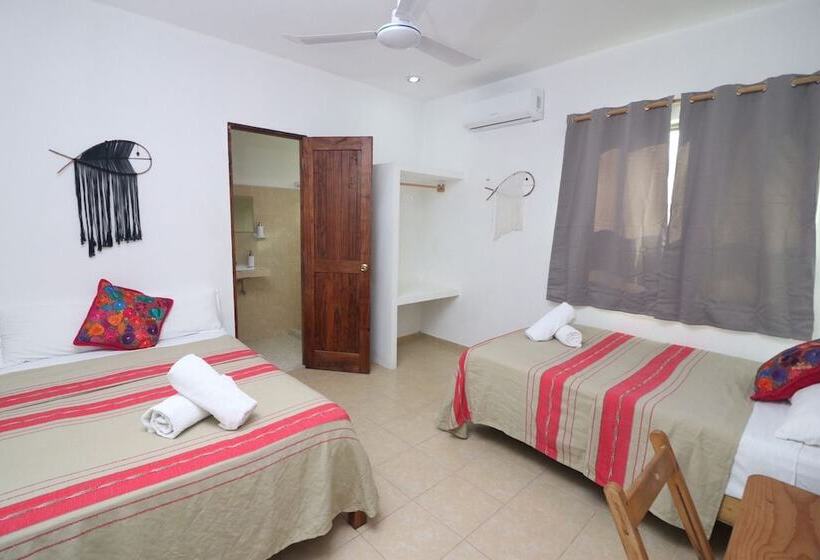 اتاق استاندارد, Posada Yalekin Holbox