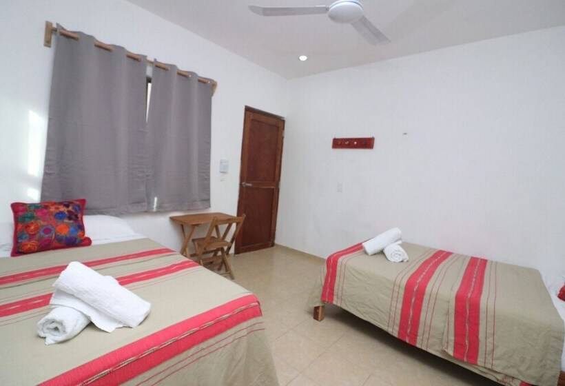 غرفة قياسية, Posada Yalekin Holbox