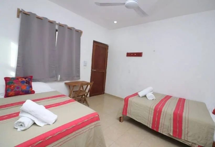 اتاق استاندارد, Posada Yalekin Holbox
