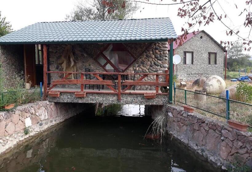 اتاق استاندارد, Skazka