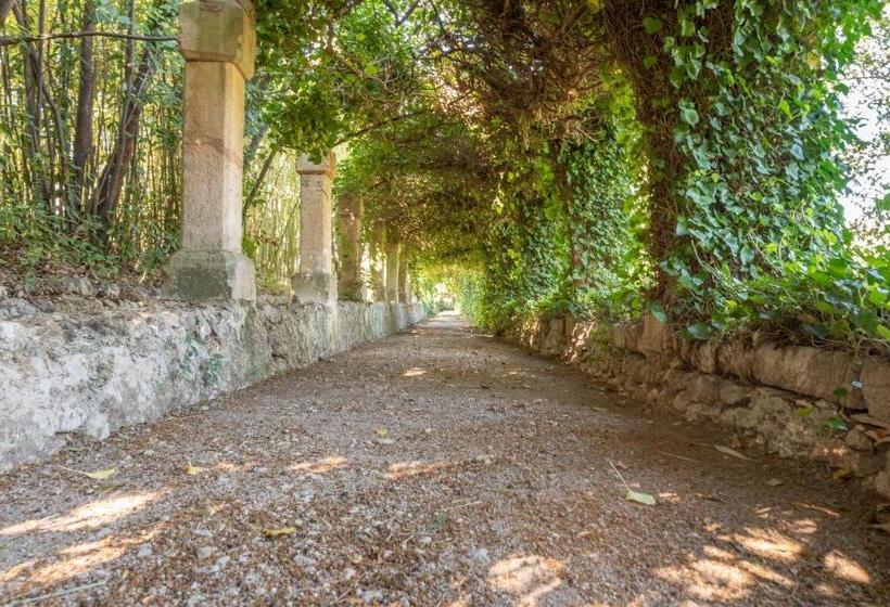 Habitació Estàndard, Son Vivot   Doble Estandar