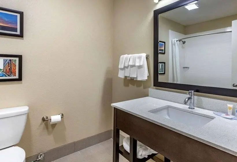 ２ダブルベッドのスタンダードルーム, Quality Inn & Suites Spring Lake   Fayetteville Near Fort Liberty