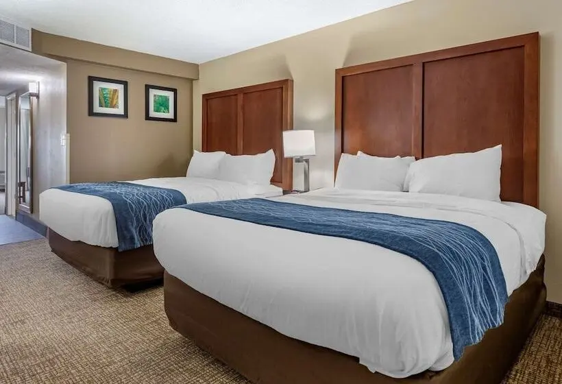 ２ダブルベッドのスタンダードルーム, Quality Inn & Suites Spring Lake   Fayetteville Near Fort Liberty