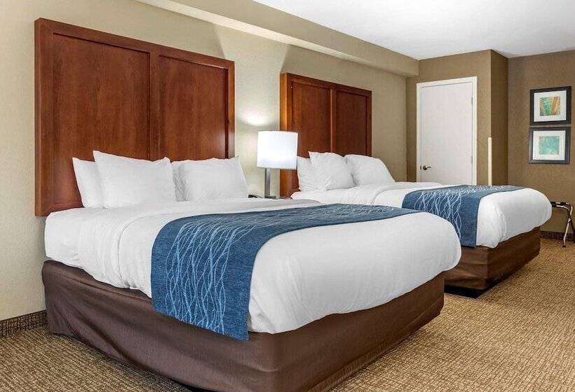 غرفه قياسيه سريرين مزدوجين, Quality Inn & Suites Spring Lake   Fayetteville Near Fort Liberty