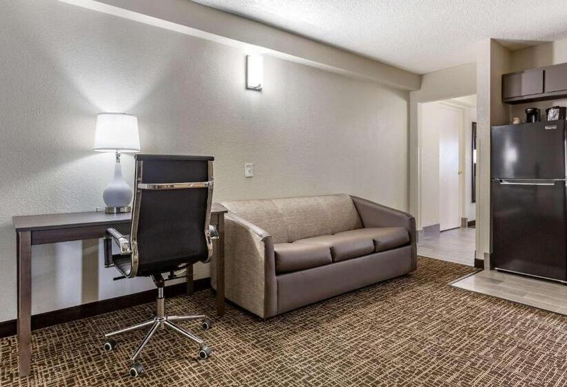 Люкс Кровать Кинг, Quality Inn & Suites Spring Lake   Fayetteville Near Fort Liberty