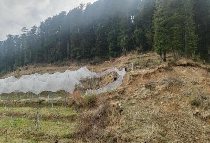 家庭间, The Jungle Mountain Retreat